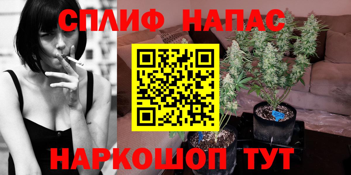 Конопля сатива  Бошки Шишки OG Kush  Конопля LSD WEED  Вход с VPN  Великий Устюг  Марихуана White Widow 